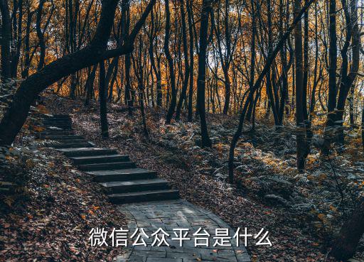微信公眾平臺網,怎么進入微信公眾平臺?