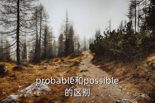 probable和possible的區別