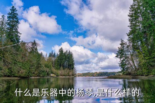 什么是樂器中的楊琴,是什么樣的