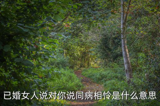 同病相憐的意思,同病相憐是什么意思?