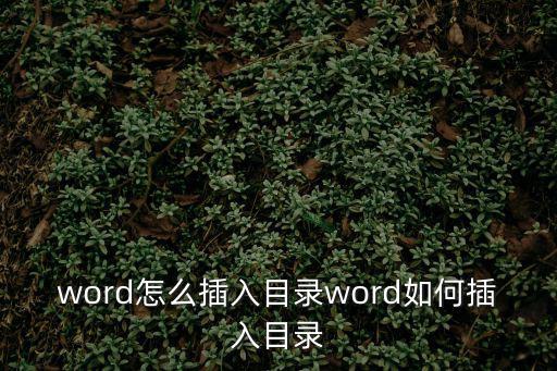 插入目錄word,word文檔怎么插入目錄?