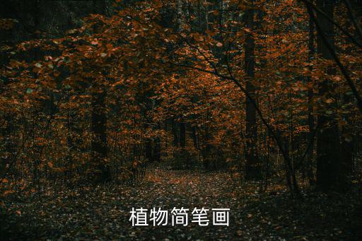 植物簡筆畫
