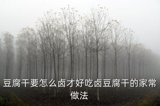 鹵豆腐干的做法,怎么做才好吃?