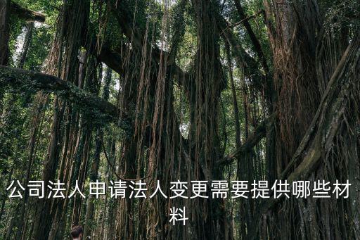 法人變更申請(qǐng)書,公司法人轉(zhuǎn)讓前務(wù)必弄清楚債務(wù)清償事情