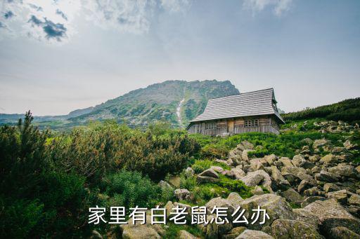 白老鼠,為什么用白老鼠做實(shí)驗(yàn)?因?yàn)樗兿?
