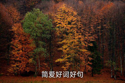 簡愛好詞好句