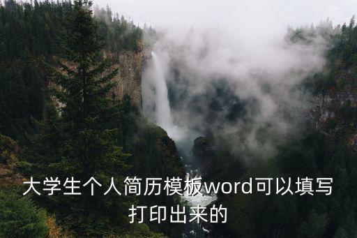 大學生個人簡歷模板word可以填寫打印出來的