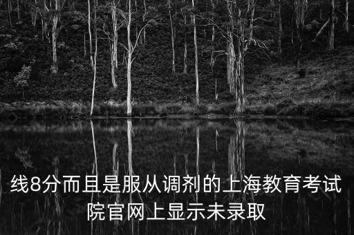 線8分而且是服從調(diào)劑的上海教育考試院官網(wǎng)上顯示未錄取