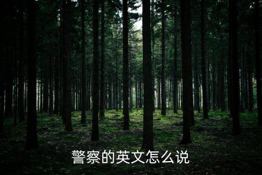 警察的英文怎么說