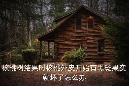 核桃炭疽病,核桃樹結果時出現青皮黑斑怎么辦?