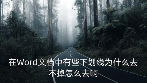 在Word文檔中有些下劃線為什么去不掉怎么去啊