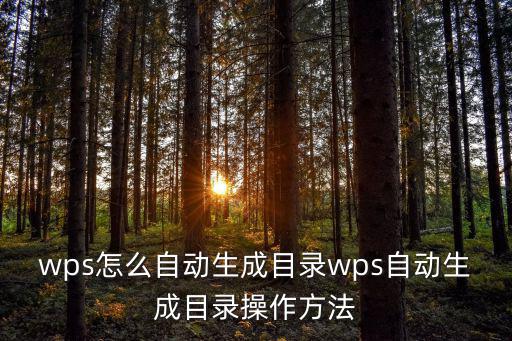 wps怎么自動生成目錄wps自動生成目錄操作方法