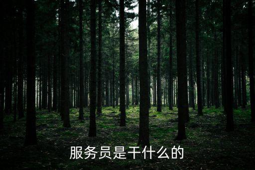 服務(wù)員是干什么的