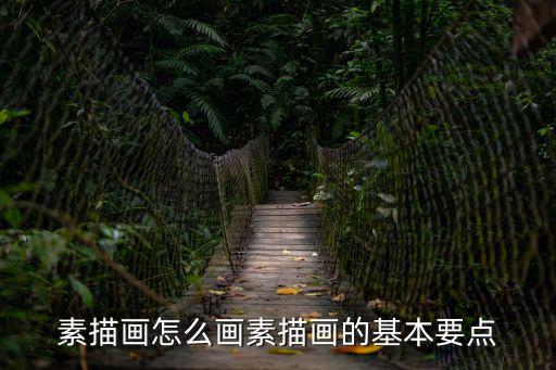 黑白素描畫,素描畫怎么畫好?