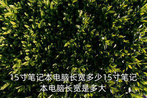 15寸多大,電腦知多少?問與答（14）