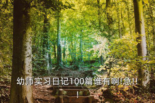 實習日記100篇,實習日記12個字寫春節(jié)日記