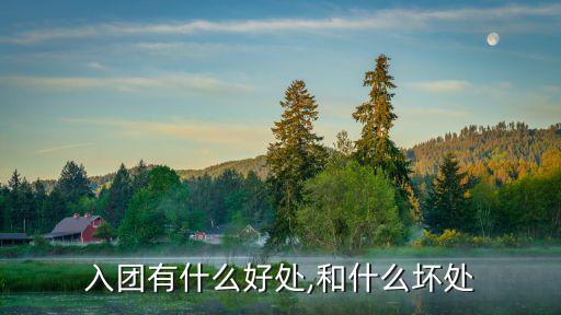 入團有什么好處,和什么壞處