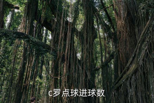 c羅世界杯進球數,世界杯進球數怎么算c羅和梅西各領風騷