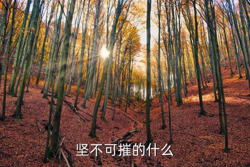 堅不可摧造句,堅不可摧牢固可摧毀信仰使我們更堅強(qiáng)
