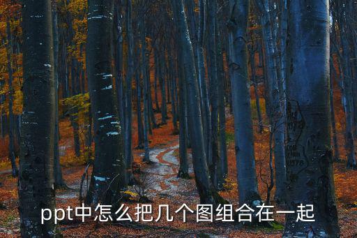 ppt中怎么把幾個圖組合在一起