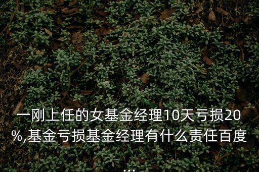一剛上任的女基金經(jīng)理10天虧損20%,基金虧損基金經(jīng)理有什么責任百度...