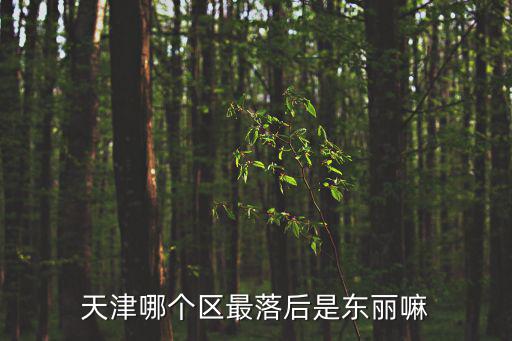 天津房?jī)r(jià)最差的區(qū)是哪個(gè)區(qū)，天津市內(nèi)哪個(gè)區(qū)的房?jī)r(jià)比較低