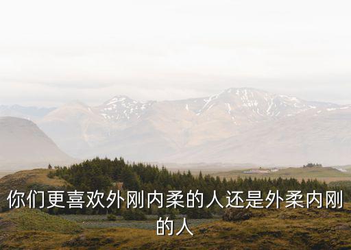 你們更喜歡外剛內柔的人還是外柔內剛的人
