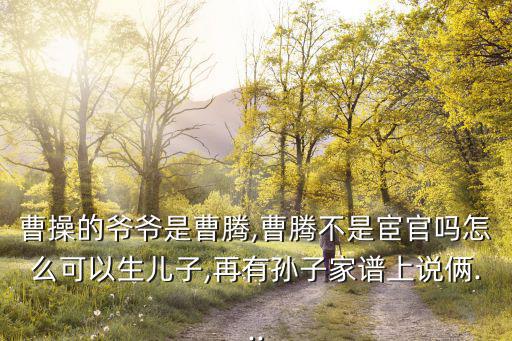 曹騰,曹操之父曹嵩是否是曹騰養子?