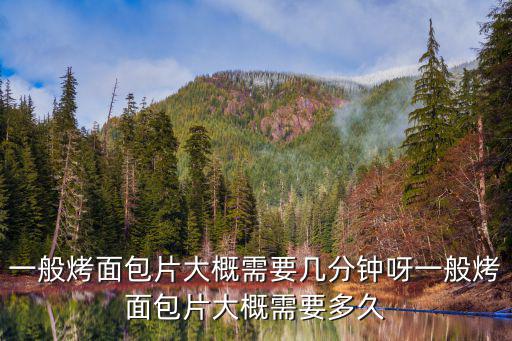 一般烤面包片大概需要幾分鐘呀一般烤面包片大概需要多久