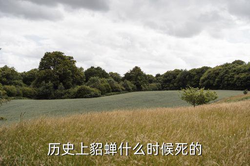 貂蟬的一生,貂蟬長安兵變后傳死因未知
