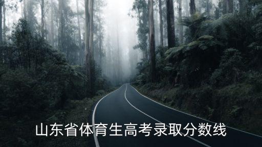山東省體育生高考錄取分數(shù)線