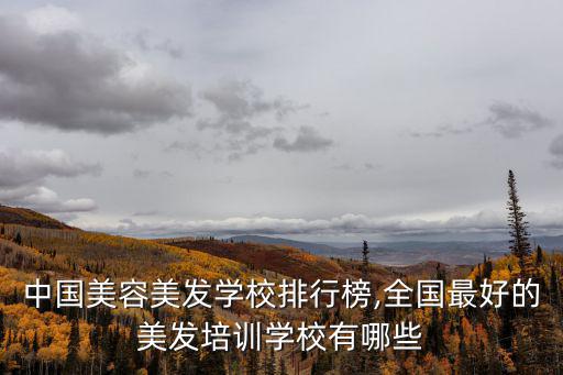 中國美容美發(fā)學校排行榜,全國最好的美發(fā)培訓學校有哪些