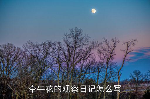 牽牛花的觀察日記怎么寫