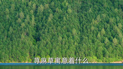 蕁麻草寓意著什么