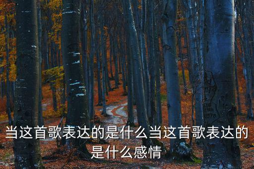 當(dāng)歌詞,《當(dāng)》這首歌表達(dá)什么?
