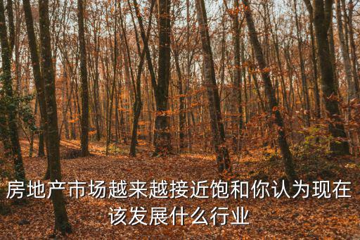 房地產市場越來越接近飽和你認為現在該發展什么行業