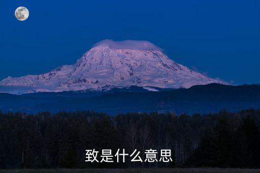 致是什么意思