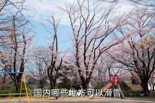 中國滑雪場,中國哪些景區有滑雪場你好!