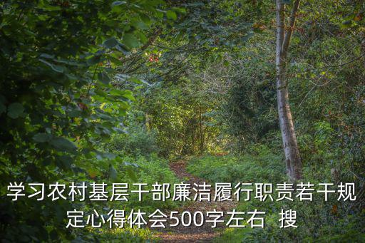 學(xué)習(xí)農(nóng)村基層干部廉潔履行職責(zé)若干規(guī)定心得體會(huì)500字左右  搜