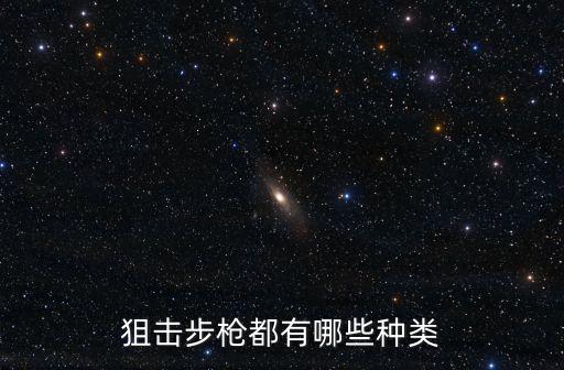 狙擊步槍都有哪些種類