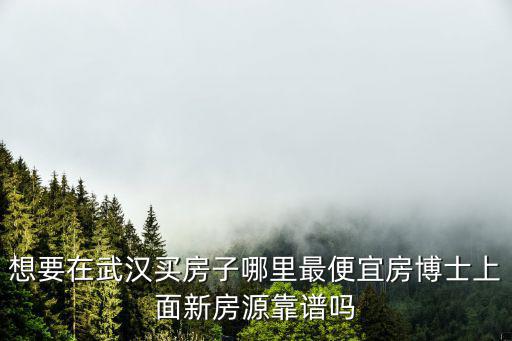 武漢市哪個位置房價最低，想要在武漢買房子哪里最便宜房博士上面新房源靠譜嗎