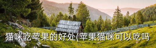 貓咪吃蘋果的好處(蘋果貓咪可以吃嗎