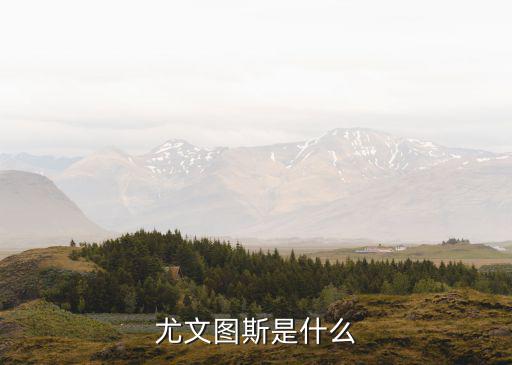尤文圖斯是什么