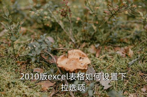 2010版excel表格如何設置下拉選項