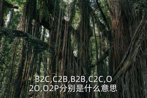 b2c商業(yè)模式,電子商務(wù)新模式