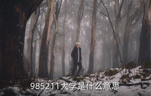 985211大學,211大學是什么意思?