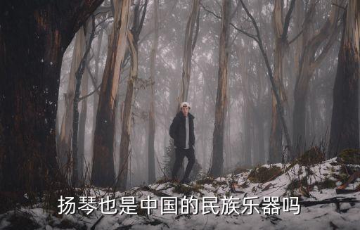揚琴也是中國的民族樂器嗎