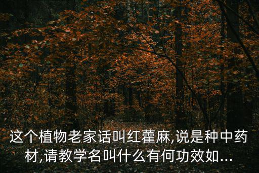這個植物老家話叫紅藿麻,說是種中藥材,請教學名叫什么有何功效如...