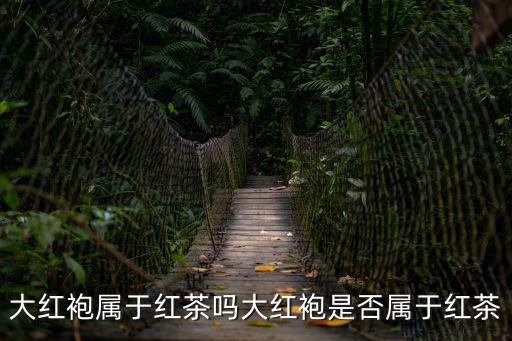 大紅袍屬于紅茶嗎大紅袍是否屬于紅茶