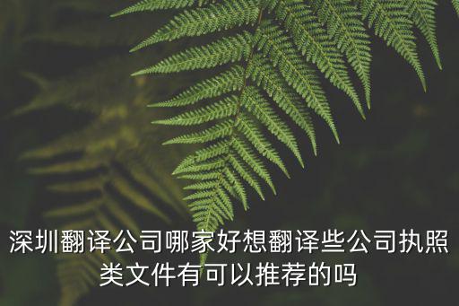 深圳翻譯公司哪家好想翻譯些公司執(zhí)照類文件有可以推薦的嗎